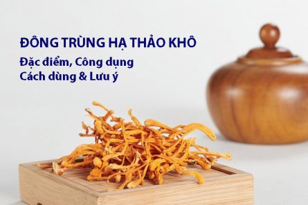 Đông trùng hạ thảo khô