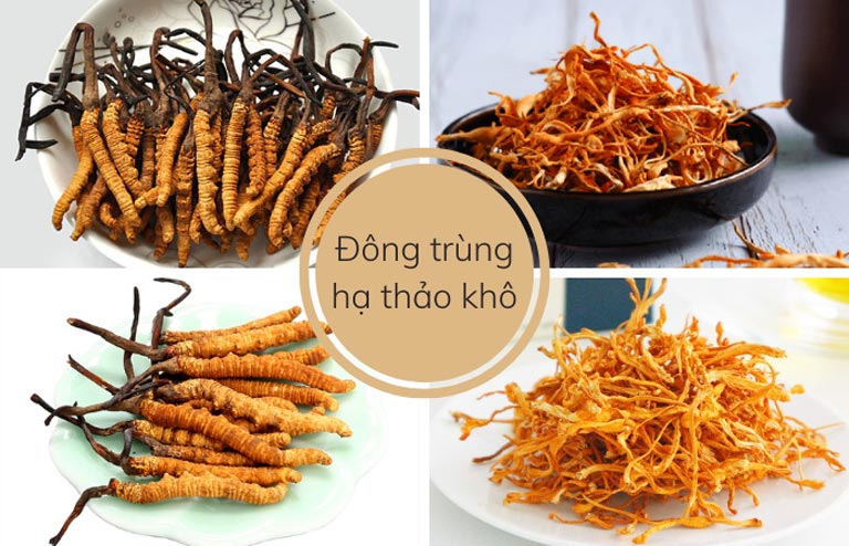 Đông trùng hạ thảo khô được sấy hoặc phơi khô từ trùng thảo tươi