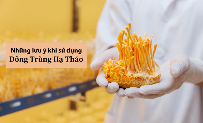 Cần sử dụng đông trùng hạ thảo sấy khô đúng cách để phát huy tối đa công dụng